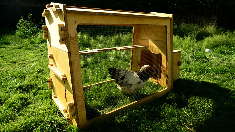 egghaus hen coop