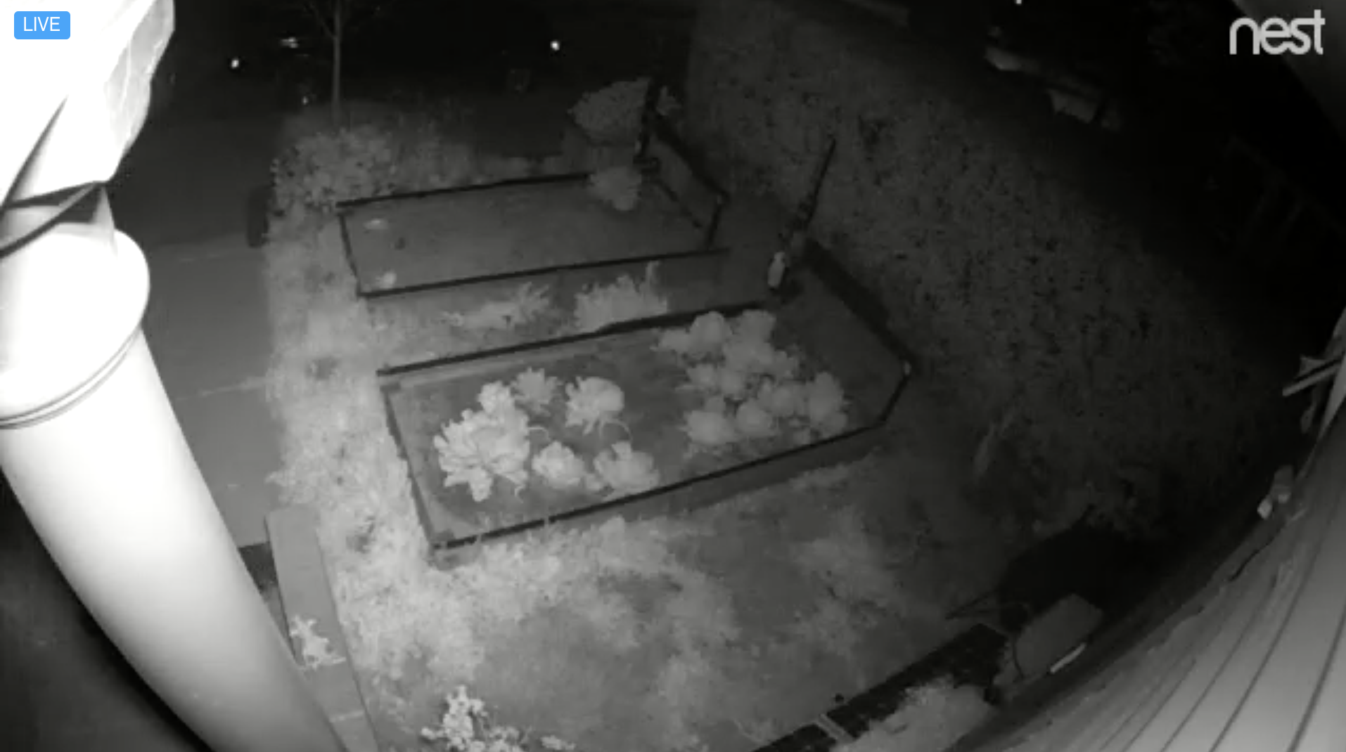 farmbot webcam at night