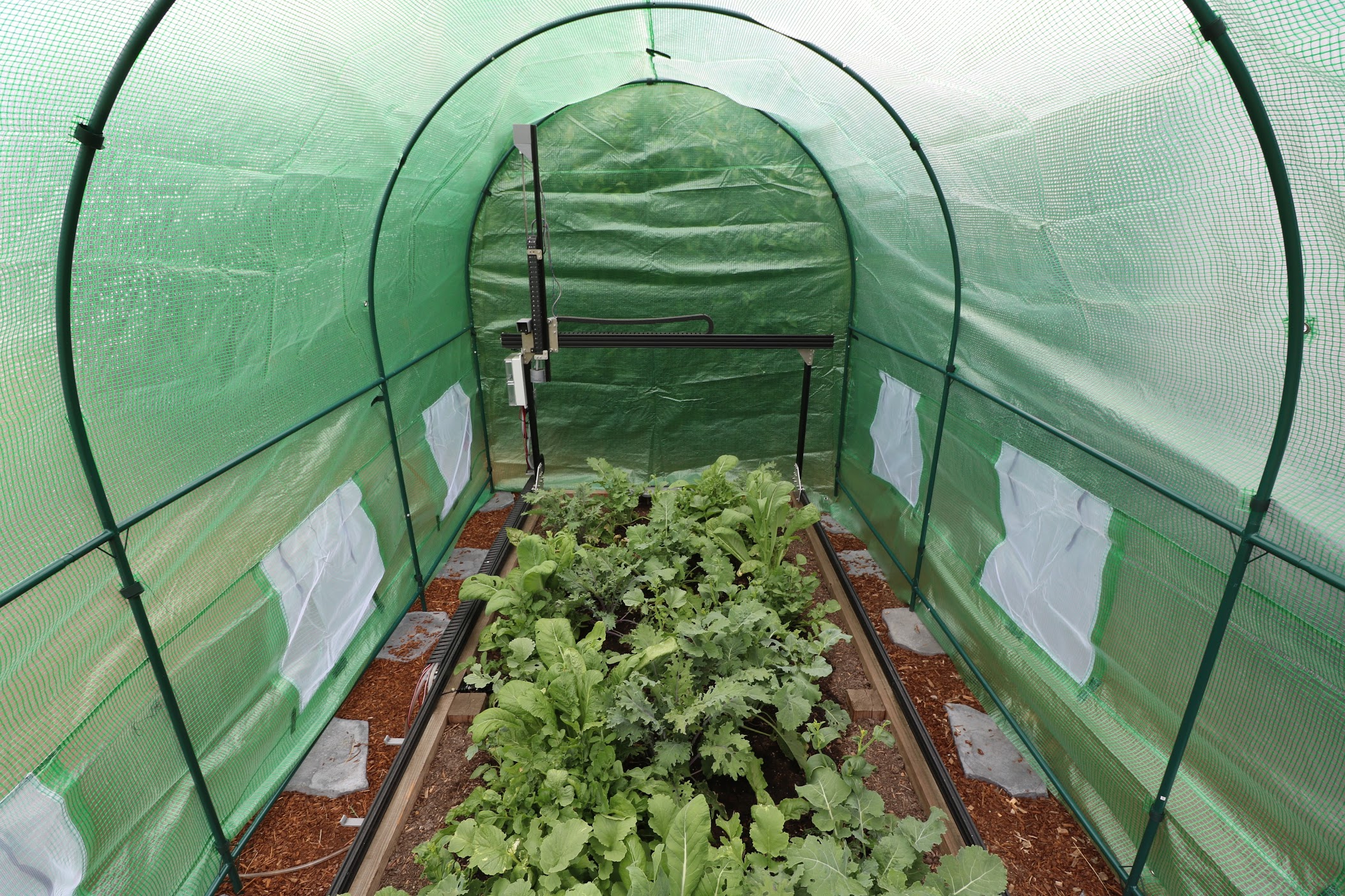 greenhouse structure and covering
