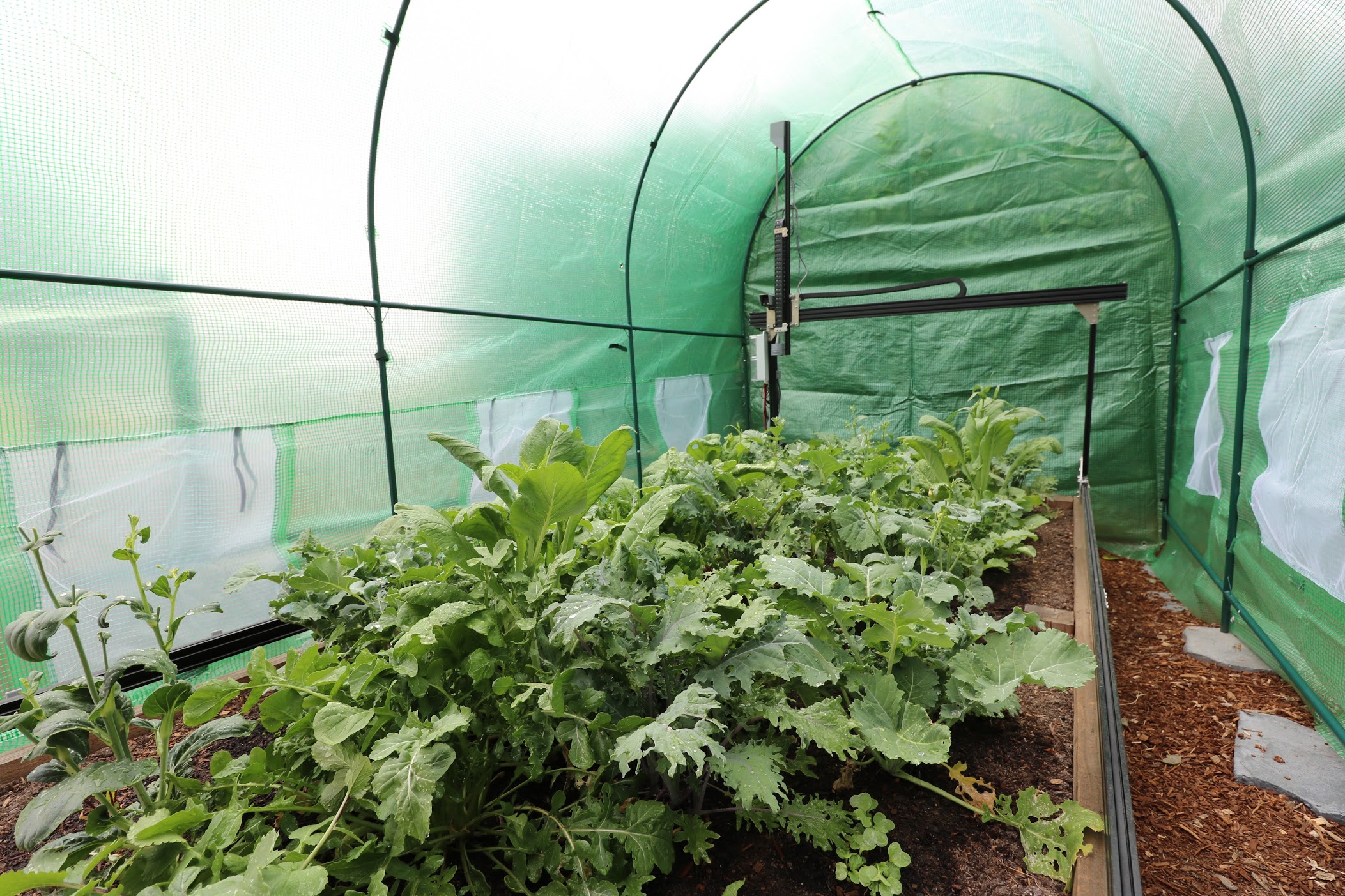 farmbot in greenhouse